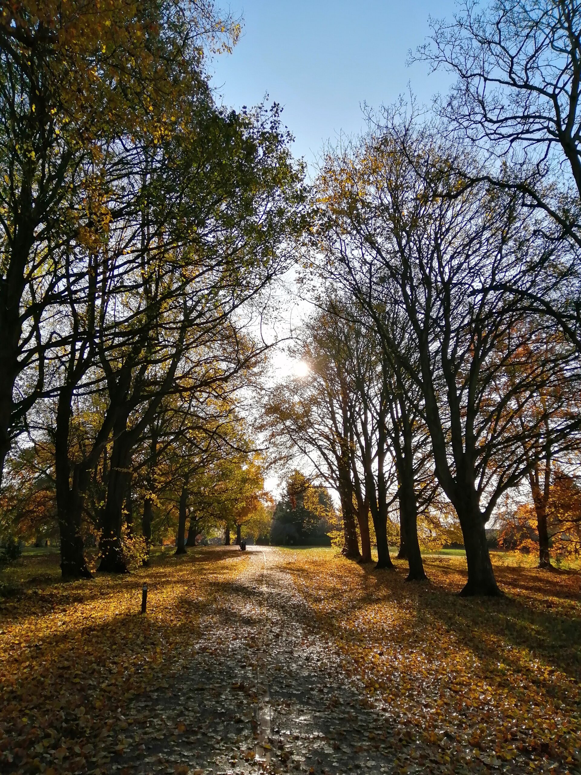 Autumn Clean Your Life